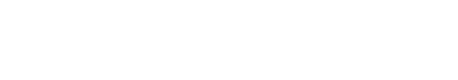 Greenhawk_ES_Logo_White.png
